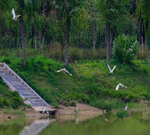 聊城生態(tài)文明建設(shè) 讓碧水藍天永駐