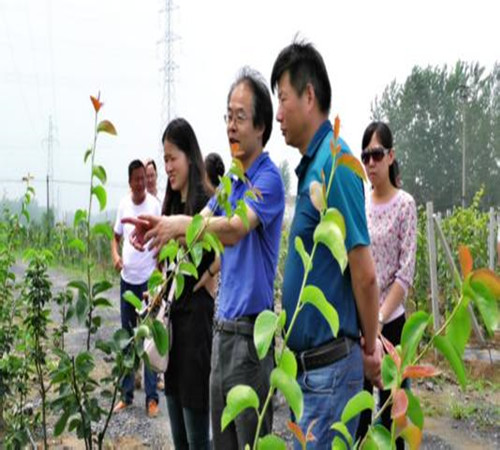 福建：“百企幫百村”精準(zhǔn)幫扶上萬(wàn)貧困群眾