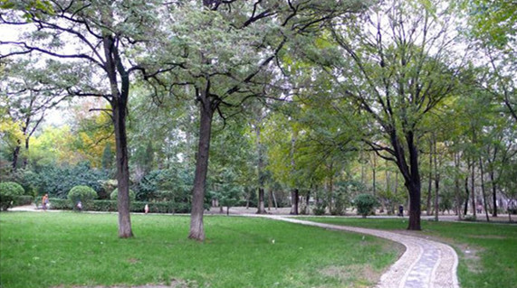 聊城公園：山色湖水更美啦 城區(qū)道路、景點(diǎn)綠化提升中