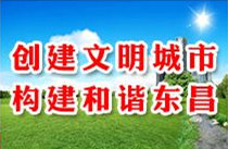 我區(qū)召開深化文明城市（區(qū)）創(chuàng)建工作會(huì)議