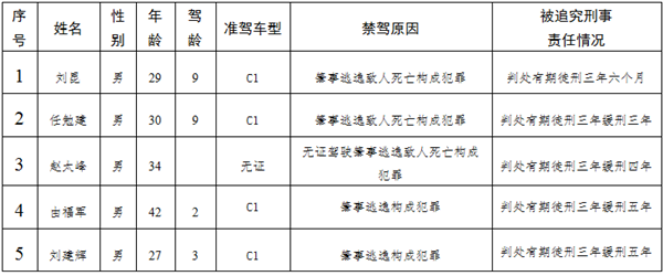 這輩子別想再開車了！聊城這5人肇事逃逸終身禁駕