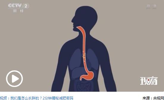 何時鍛煉效果好？研究：晨練有助減重晚練更有效率