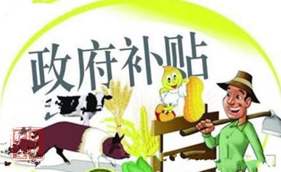 鼓勵養(yǎng)豬保障供應(yīng)中央財政補助獎勵政策再加碼