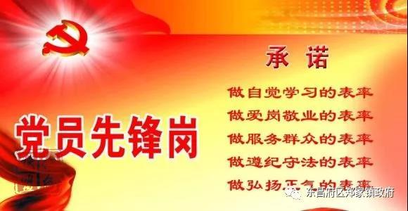 鄭家鎮(zhèn):“黨員先鋒崗”｜黨旗高高飄揚(yáng)在戰(zhàn)疫一線