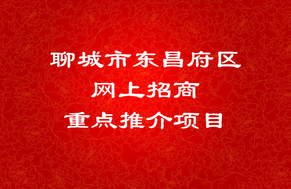 聊城市東昌府區(qū)網(wǎng)上招商重點(diǎn)推介項(xiàng)目