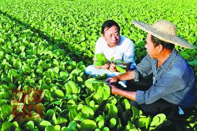 山東省農(nóng)業(yè)科技園區(qū)年總產(chǎn)值超2700億元