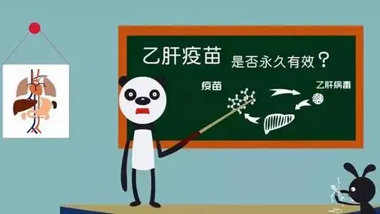 打了乙肝疫苗后就“一勞永逸”了嗎？