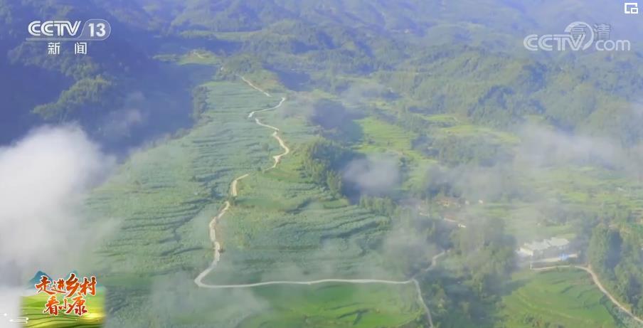 【走進鄉(xiāng)村看小康】福建建寧：水清山秀建蓮美 賞花旅游促增收