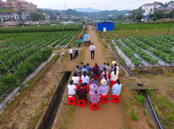 昆明共青團為大學生打造田間課堂直通車