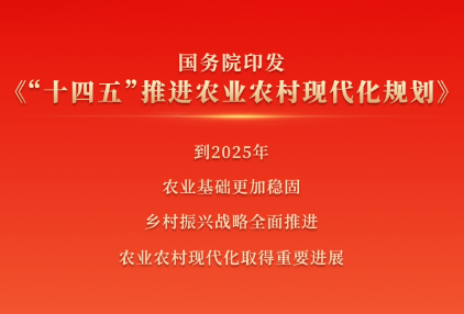 鄉(xiāng)村振興，未來可期——聚焦《“十四五”推進(jìn)農(nóng)業(yè)農(nóng)村現(xiàn)代化規(guī)劃》新舉措