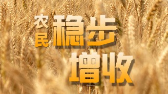 圖說：穩(wěn)步增收！中央一號文件為農(nóng)民送來“定心丸”