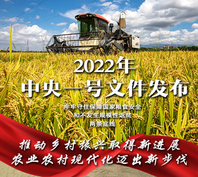 一圖速覽2022年中央一號文件