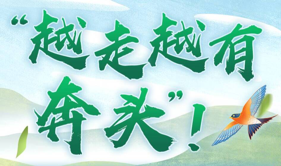 學(xué)習(xí)進(jìn)行時(shí)丨“越走越有奔頭”！習(xí)近平論鄉(xiāng)村振興