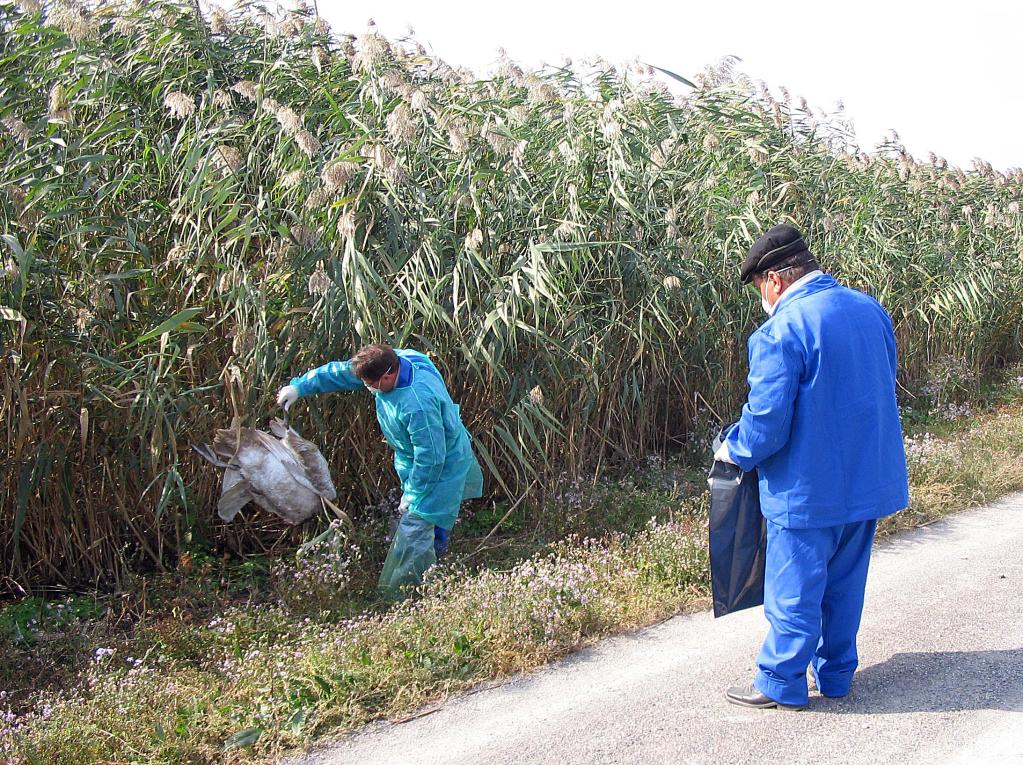 特稿：美國生物實驗亂象禍害全球