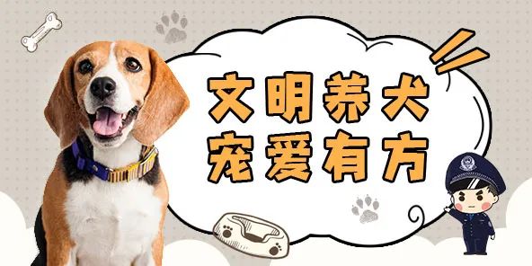 聊城“電子犬證”上線！趕快給狗狗領取“身份證”