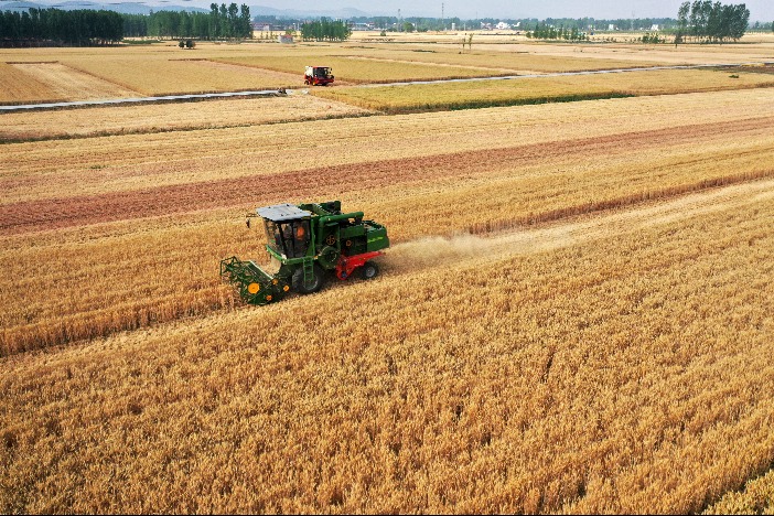 多地夏收全面完成 端牢飯碗添底氣