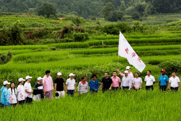 中國農大學子：田間地頭走“硒”望之路