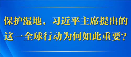 第一觀察丨保護(hù)濕地，習(xí)近平主席提出的這一全球行動(dòng)為何如此重要？