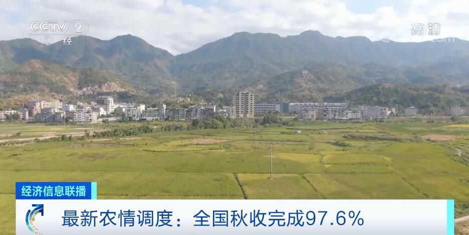 全國秋糧已收獲12.7億畝 進度同比相當