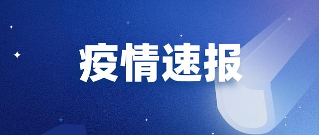 2022年11月14日0時(shí)至24時(shí)聊城市新型冠狀病毒肺炎疫情情況