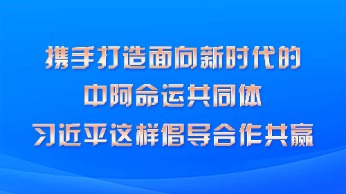 攜手打造面向新時代的中阿命運共同體 習近平這樣倡導合作共贏