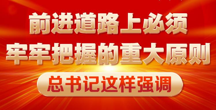 前進(jìn)道路上必須牢牢把握的重大原則 總書記這樣強(qiáng)調(diào)