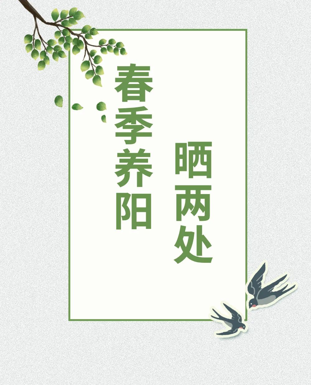 健康知識普及行動｜春季陽氣生發(fā)！做到這些，身體健康陽氣足