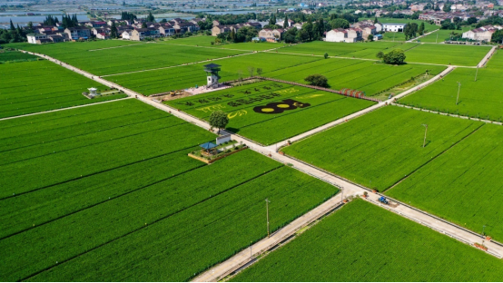 建好良田大國糧倉根基穩(wěn) 超一半耕地建成高標準農(nóng)田