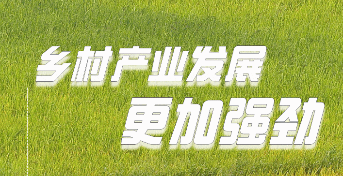 手繪動海報丨五大成效、四大舉措，山東建設(shè)農(nóng)業(yè)強(qiáng)省再放招