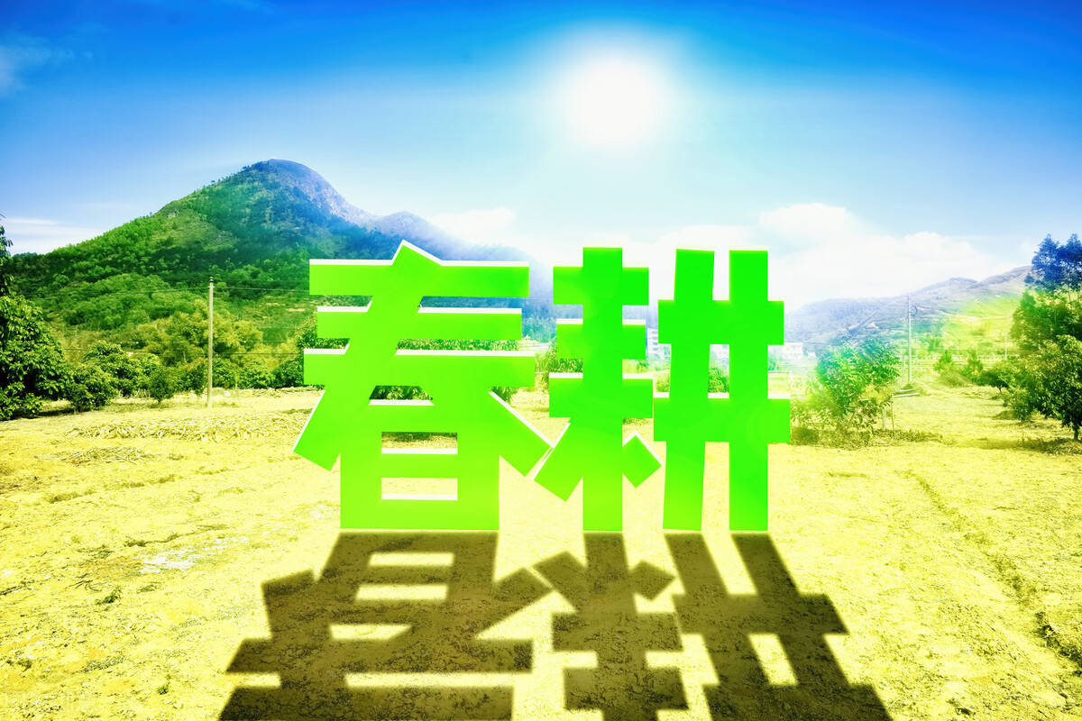 多措并舉  農(nóng)民種糧更有奔頭（春耕探行·高起點(diǎn)保障糧食安全）