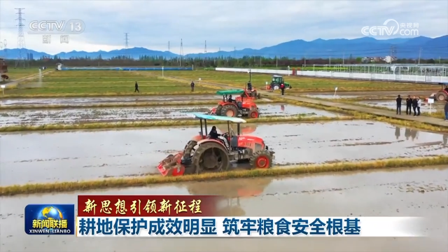 耕地保護(hù)成效明顯 筑牢糧食安全根基