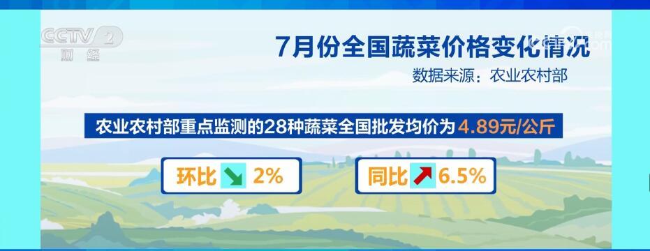 7月份全國(guó)蔬菜價(jià)格季節(jié)性下行 “菜籃子”供應(yīng)有保障