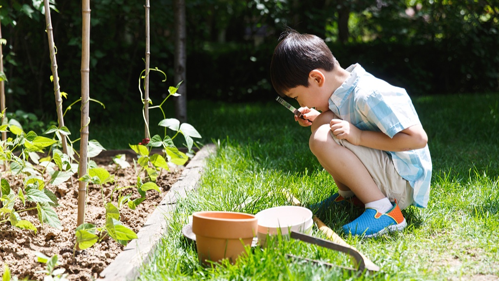 普及普惠式“幼有所育”如何實(shí)現(xiàn)