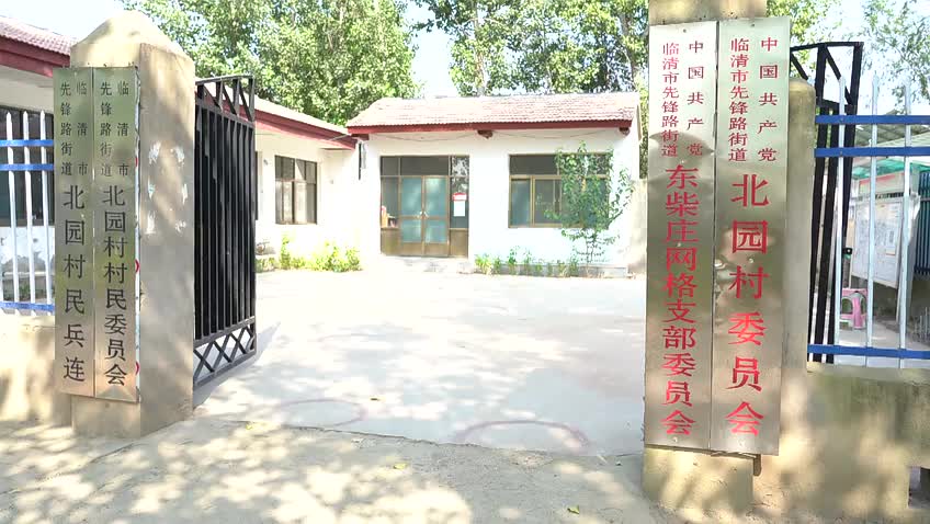 聊城臨清市東柴莊村黨支部書記張帥：撲下身子 振興鄉(xiāng)村