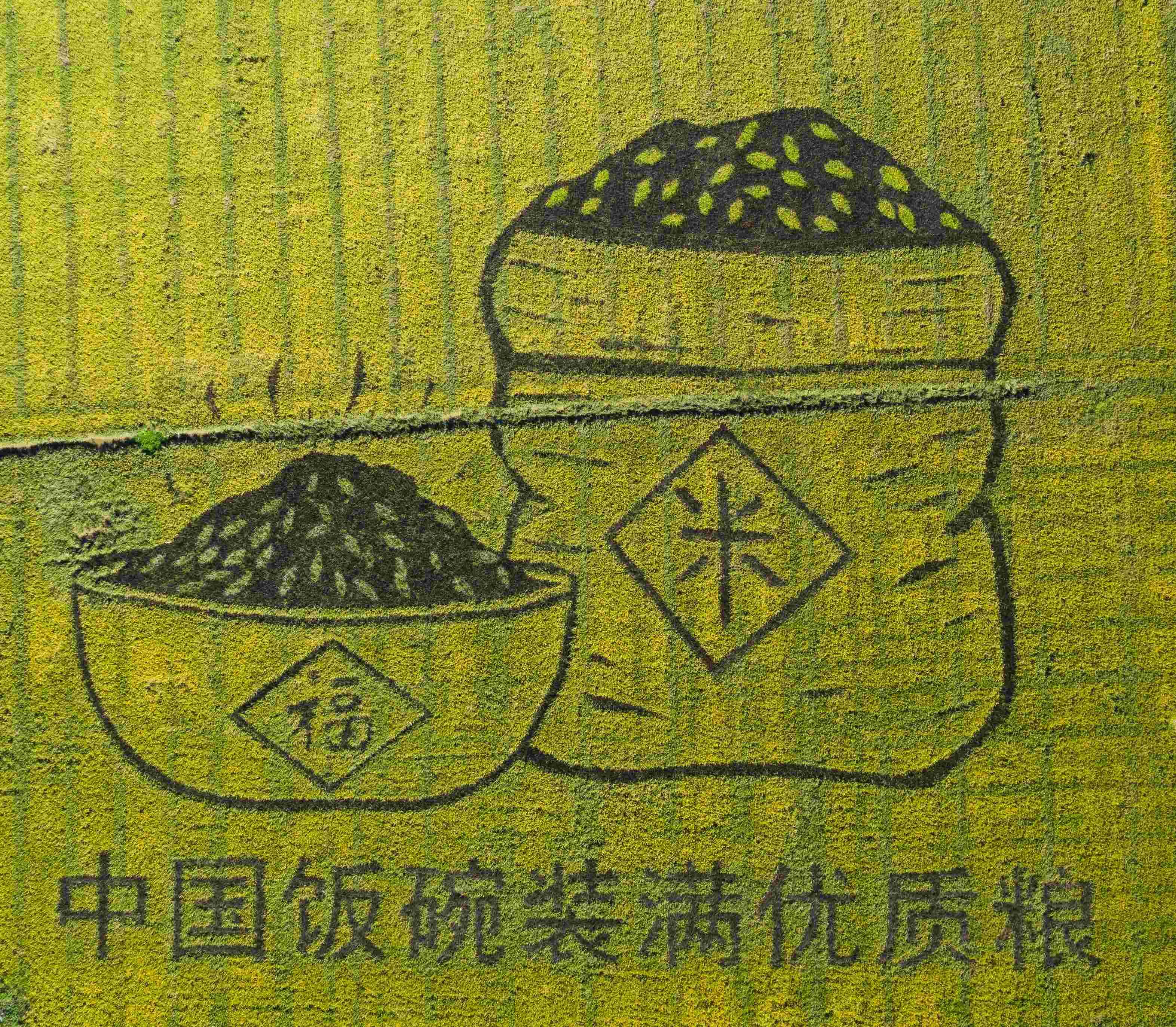 “中國(guó)飯碗”裝滿優(yōu)質(zhì)糧