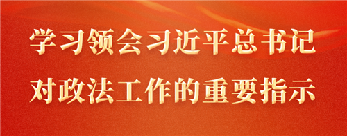 學(xué)習(xí)領(lǐng)會(huì)習(xí)近平總書(shū)記對(duì)政法工作的重要指示