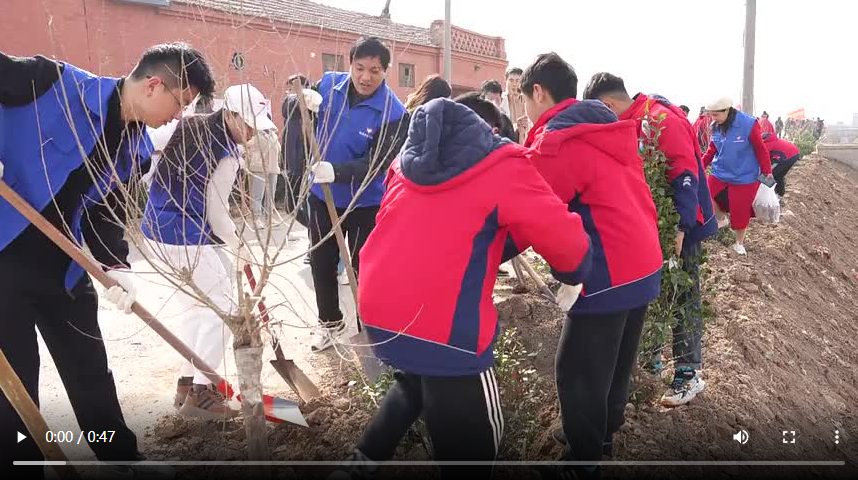 聊城臨清市：“植”此青綠 擁抱春天