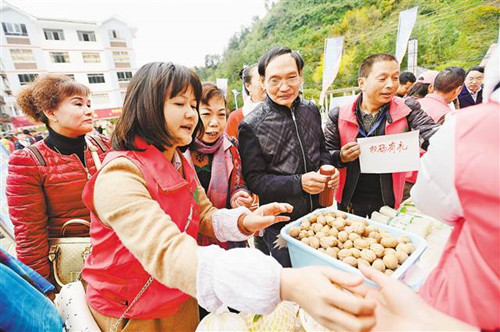 【領航新征程】農(nóng)民帶著“掃一掃”來賣山貨