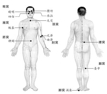 人有八個(gè)“養(yǎng)生窩”